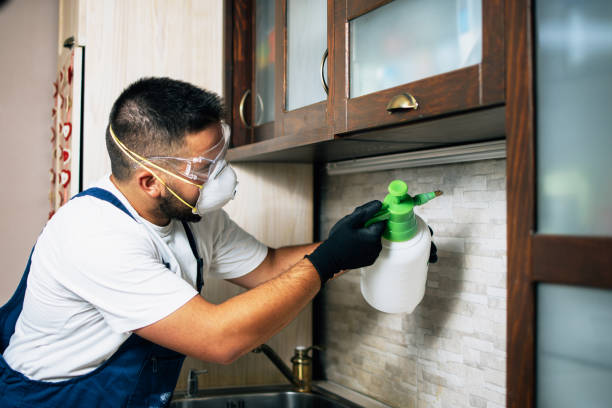 Best Local Pest Control Services  in Rice Lake, WI