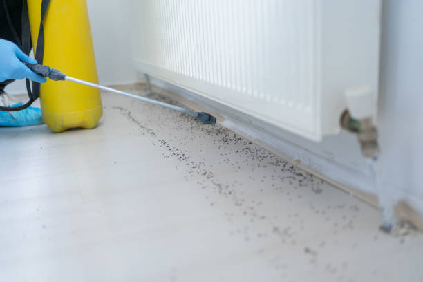 Best Pest Inspection Near Me  in Rice Lake, WI